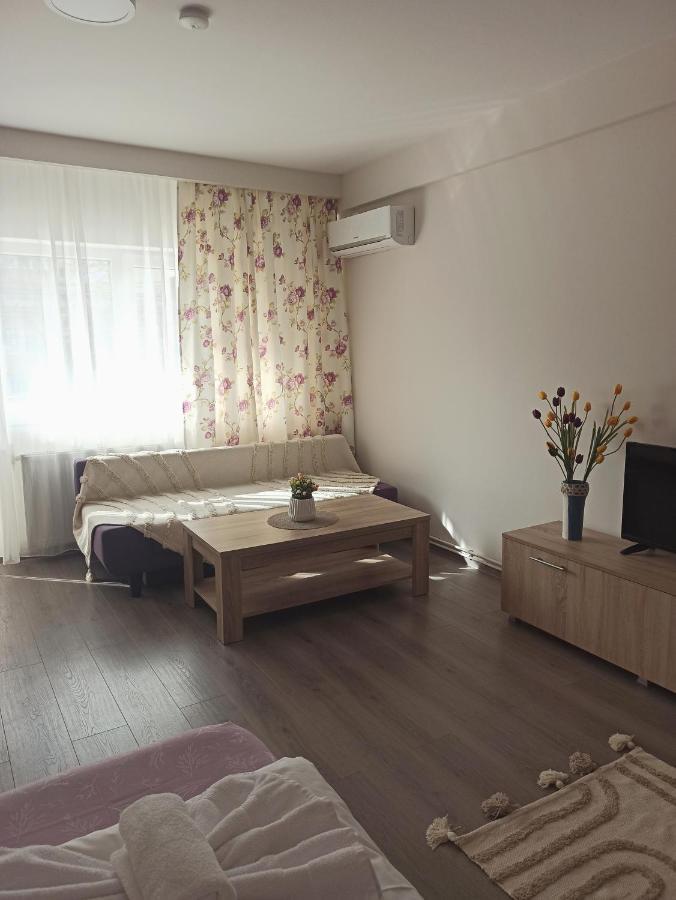 City Premium Apartments Timişoara Exterior foto